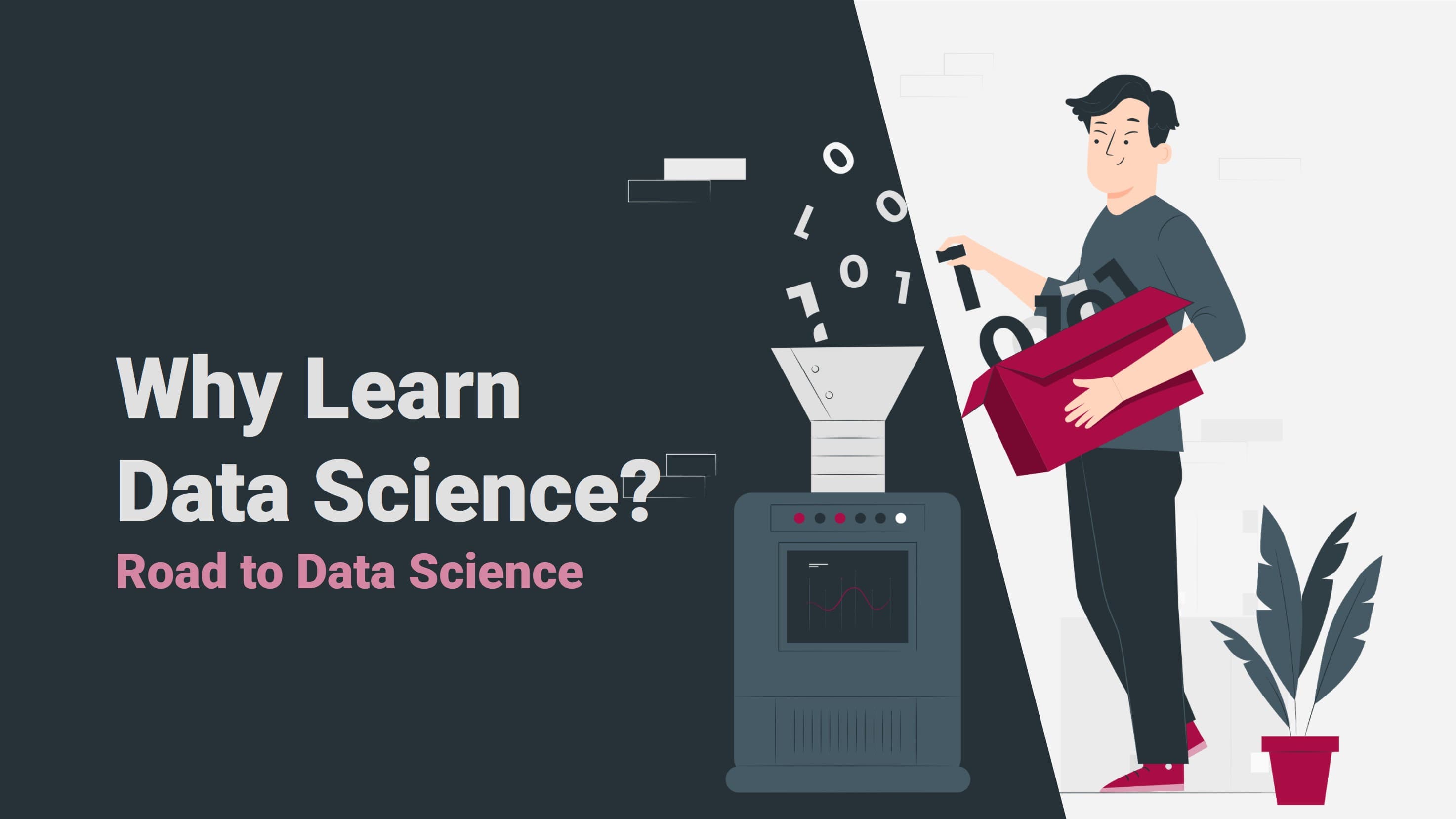 Why Learn Data Science?